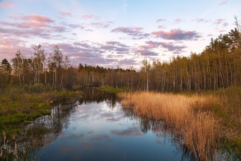 Пионерка фото превью