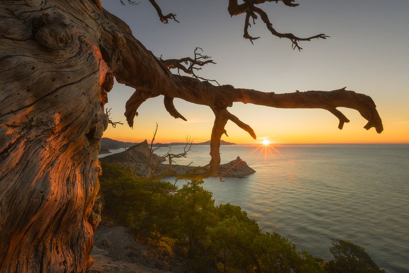 на торопе Голицына фото превью