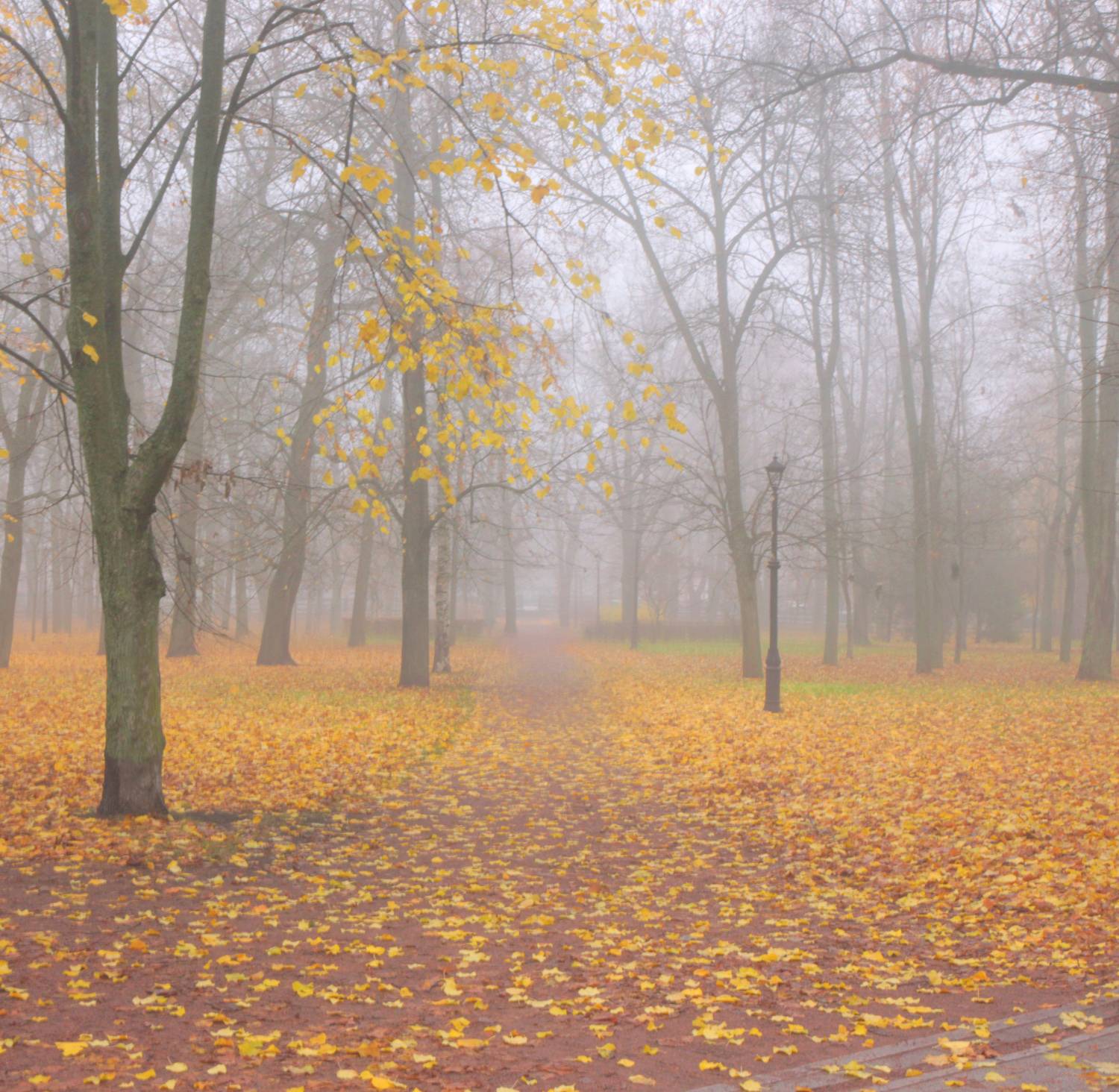 , Сергей Григорьев