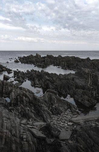 Во власти прилива