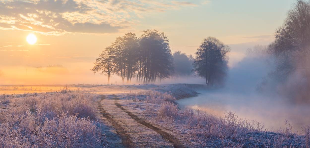 , Александр Подрез