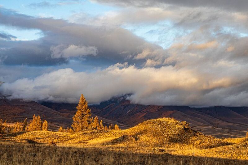 Закат в Курайской степи фото превью