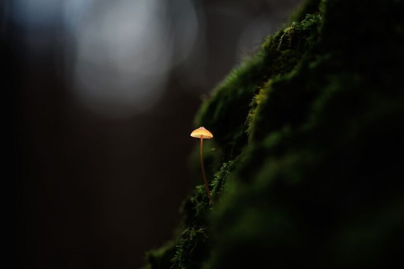 Одиночество фото превью