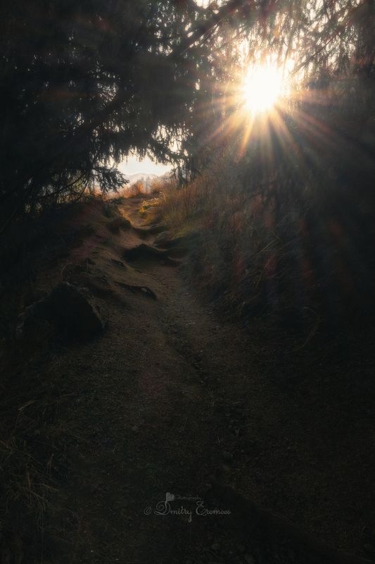 горы тропа природа пейзажи Лесными тропами... фото превью