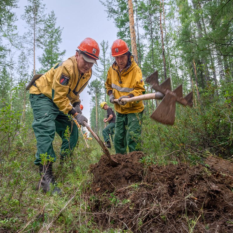 *** фото превью