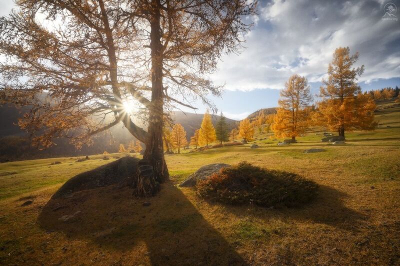 алтай, фототур по алтаю, осень, горы, горный алтай, республика алтай, джазатор Солнечная полянка фото превью