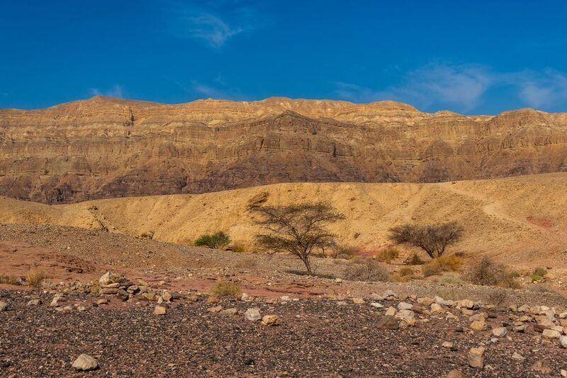 В пустыне Арава фото превью