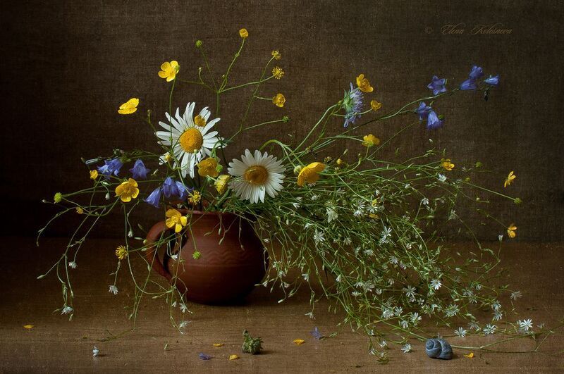 лето, букет, цветы Летний букет фото превью