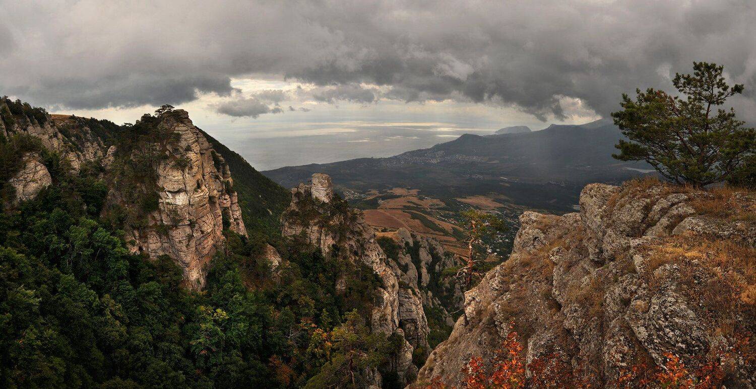 , Владимир Метцгер