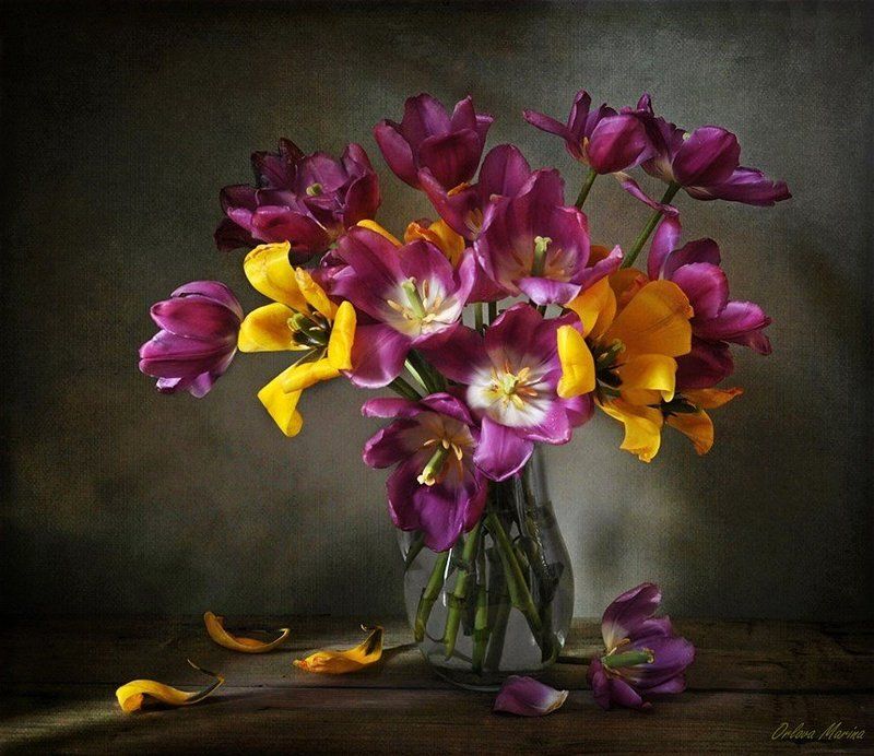 Сезон тюльпанов фото превью