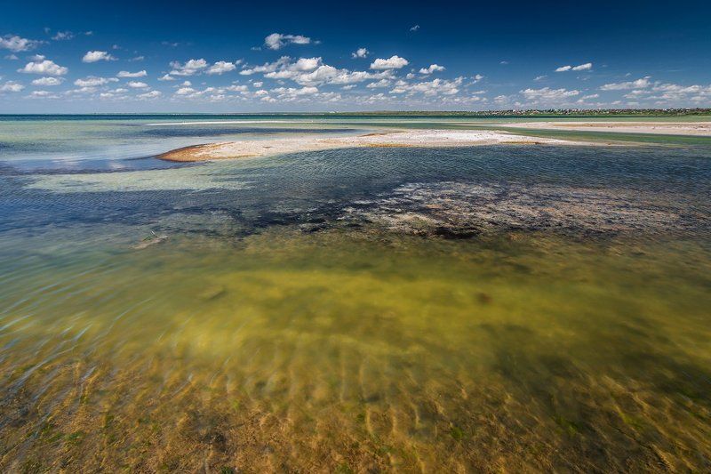 Разноцветье Тилигульского лимана фото превью