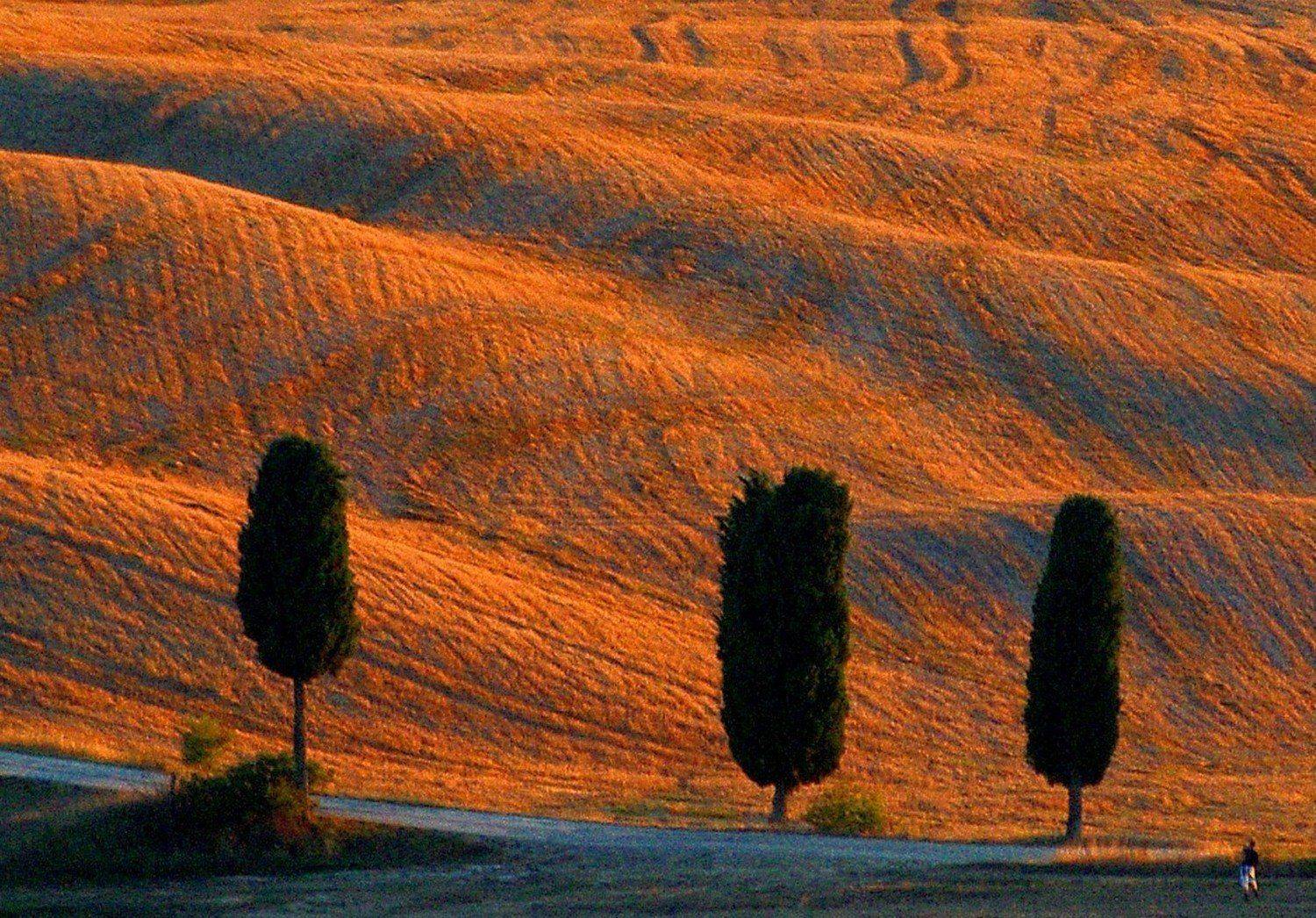 Italy, Landsacpe, Tuscany, Jacek