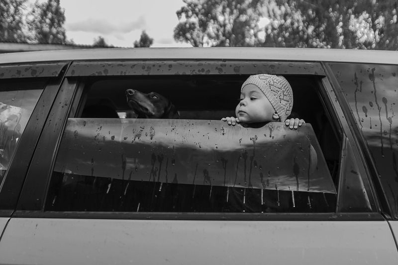 Носы по ветру... фото превью