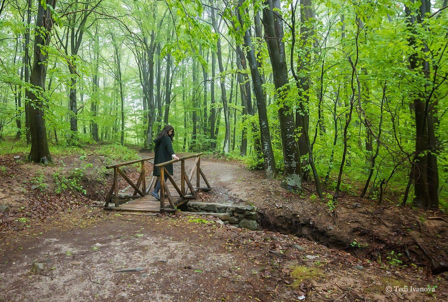 Landscape, Teodora Ivanova