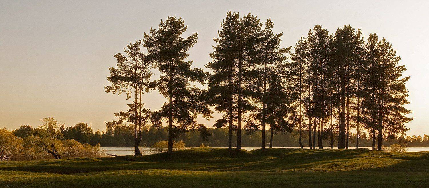 , Поташев Александр