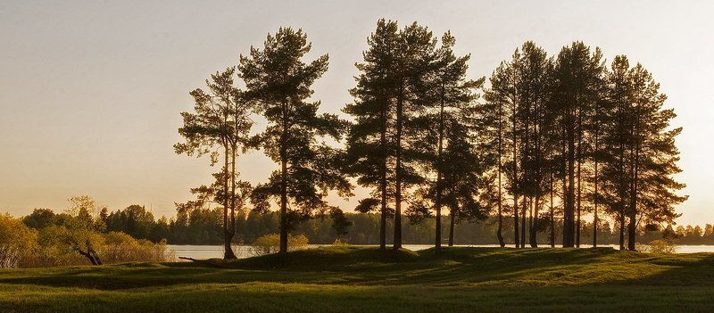 ********** фото превью