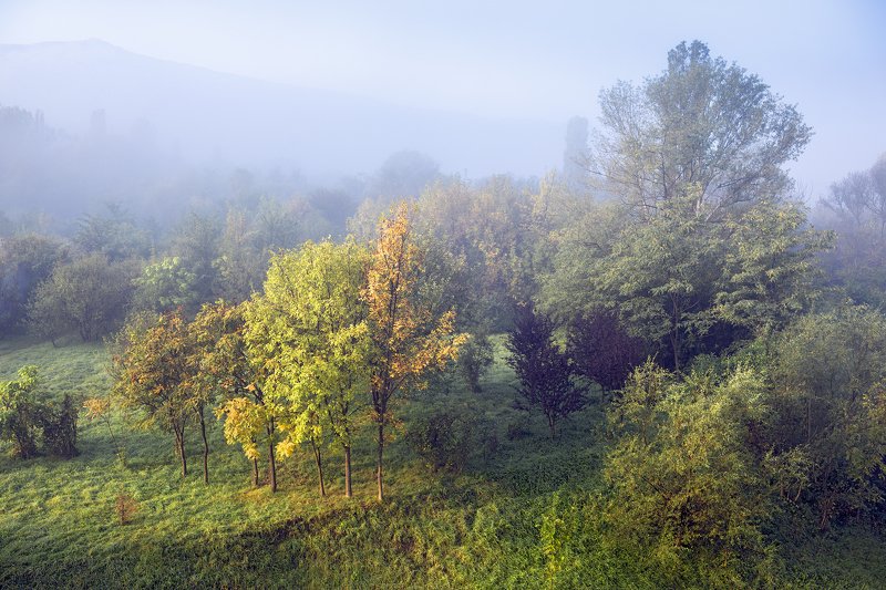 Fog and Sunshine фото превью