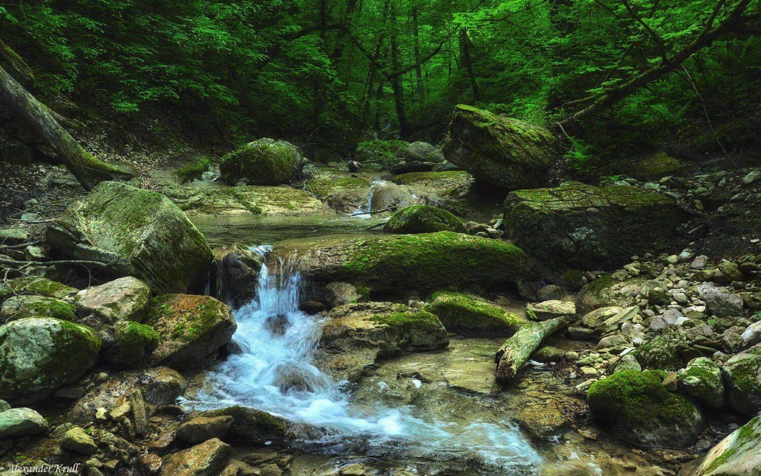 кавярзе, Александр Круль