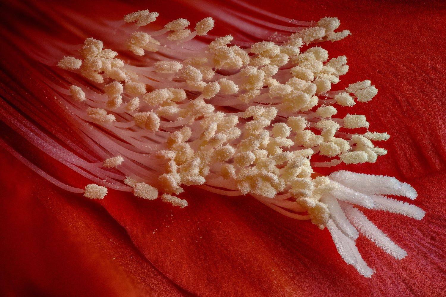 , Эльдар Гуртуев