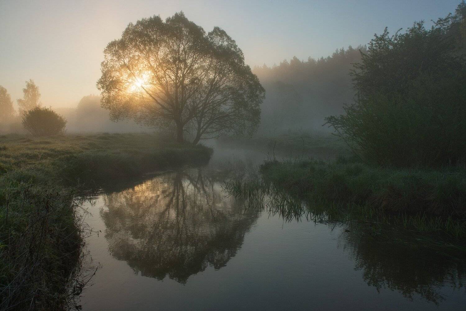 Дымка, Лес, Отражения, Река, Солнечное утро, Туман, Утро, Сергей Добровольский