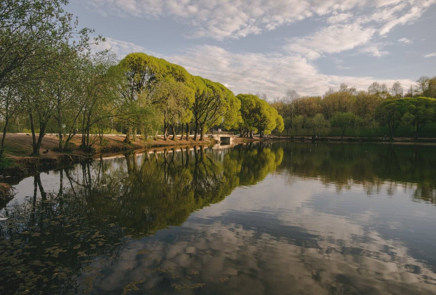 природа,киров,весна, Карепанов Евгений