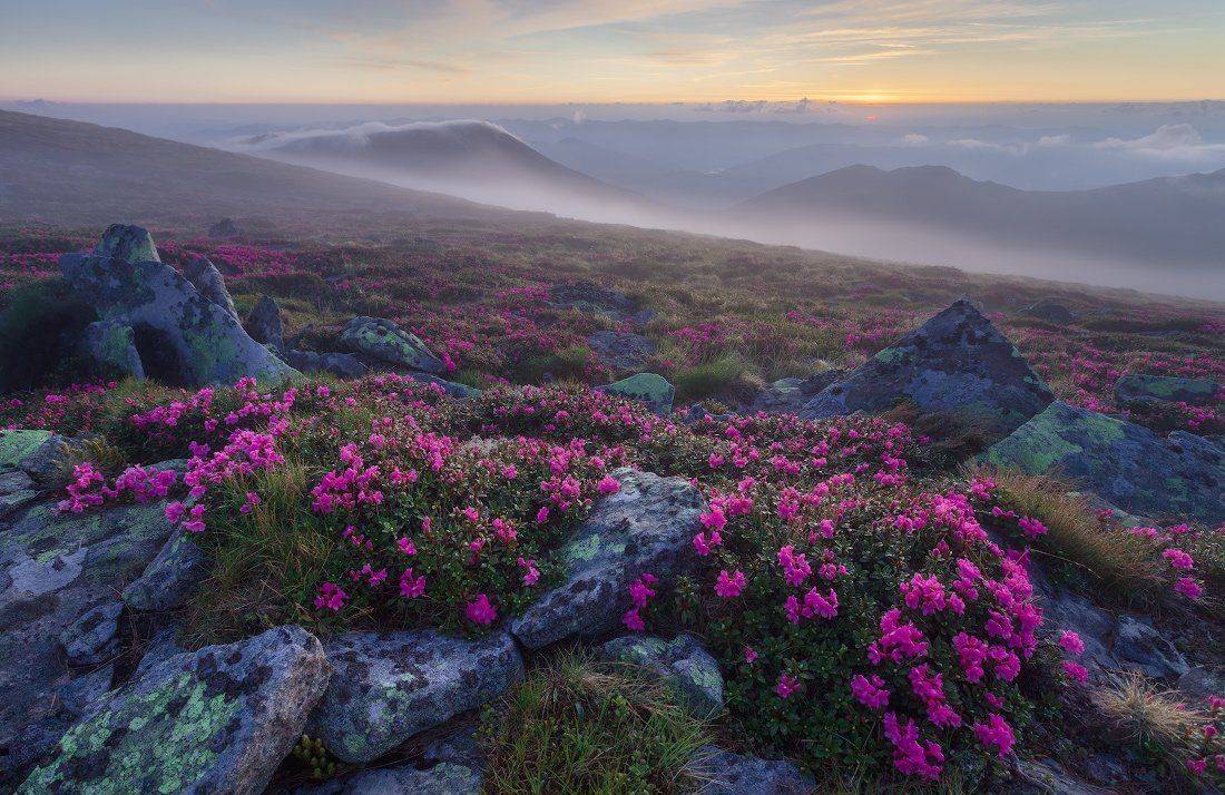 , Ярослав Тюрменко (Jaremi)