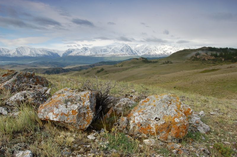 Горный алтай, Курайская степь В Курайской степи фото превью