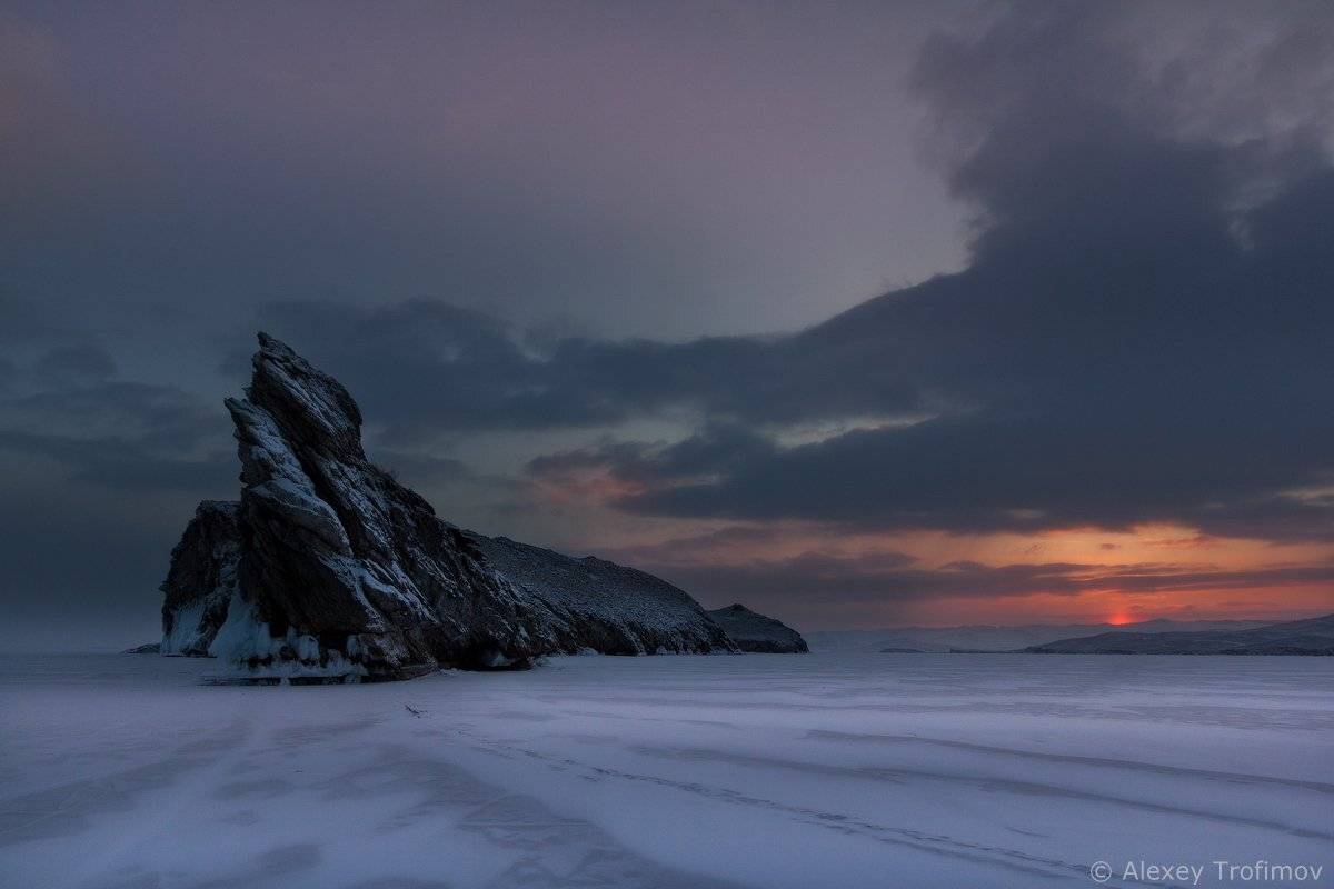 , Алексей Трофимов