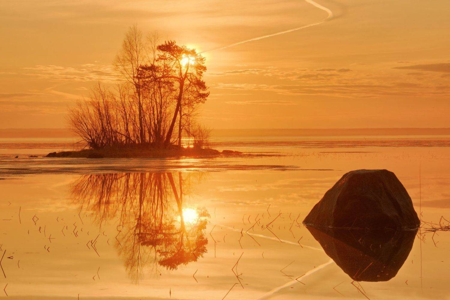 , Максим Евдокимов ( www.wildphotorus.ru )