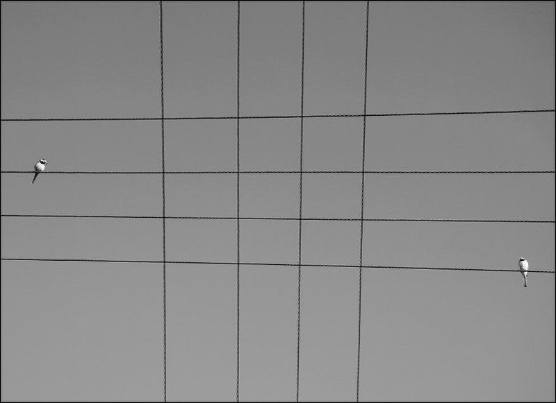 minimal 2 фото превью