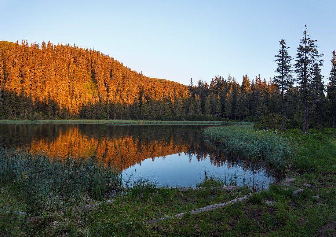 , Ярослав Тюрменко (Jaremi)