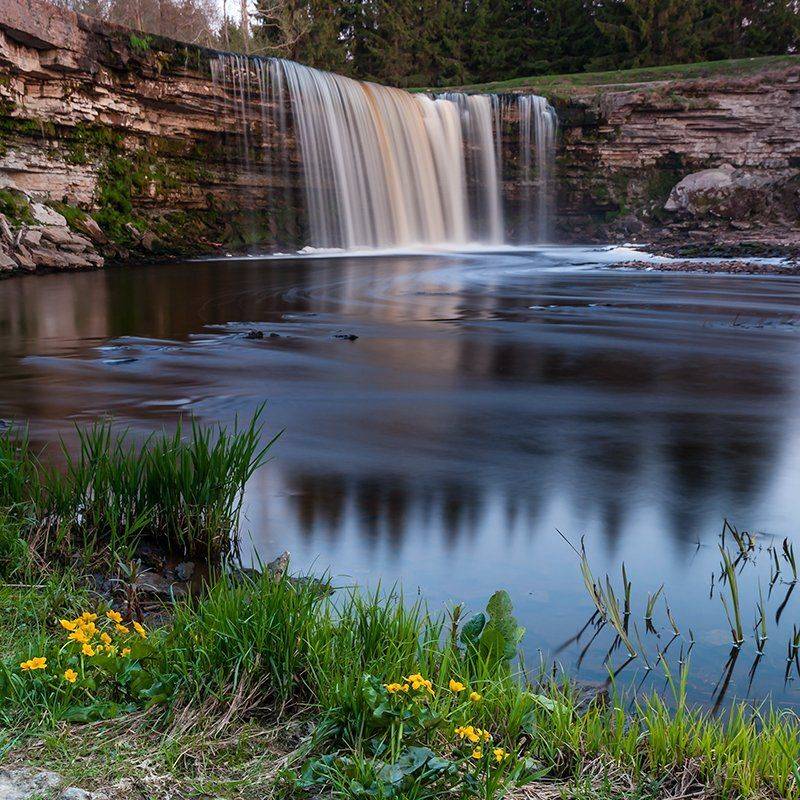 , Александр Абросимов