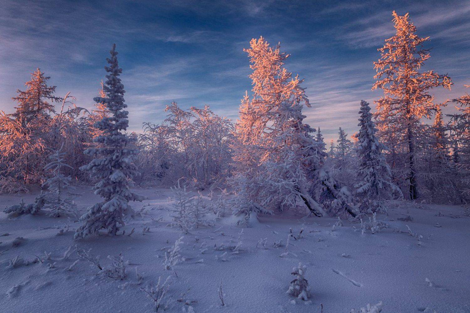 , Евгений Кужилев