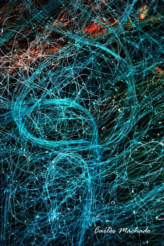 macro, travel, other, reportage, still life, Pollock fishnet фото превью