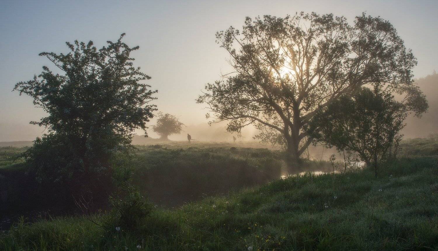 Берег, Деревья, Река, Солнечное утро, Трава, Туман, Утро, Сергей Добровольский