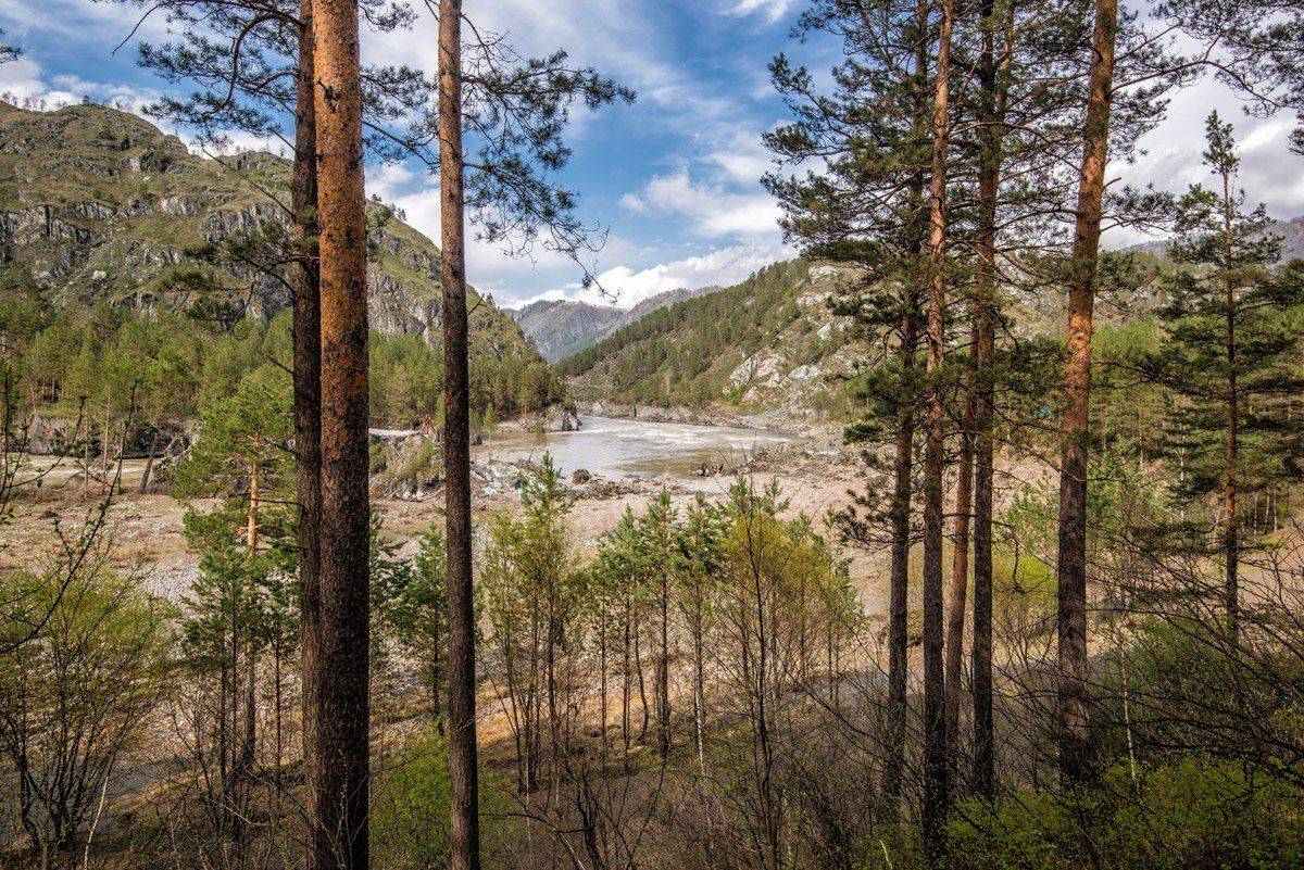 алтай, катунь, GunterV