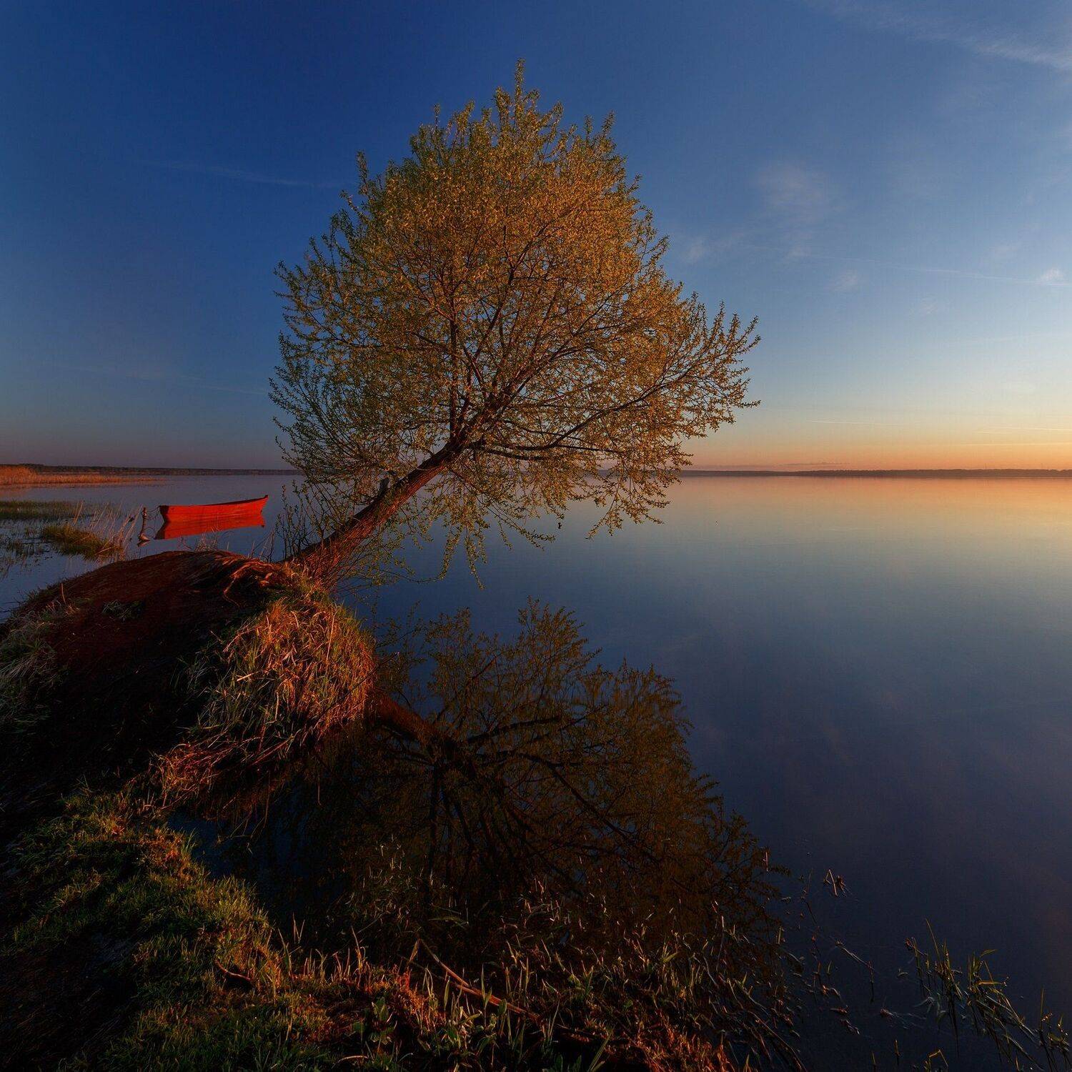 Рассвет, лодка, Плещеево озеро, озеро, вода, утро, дерево, Павел Попов