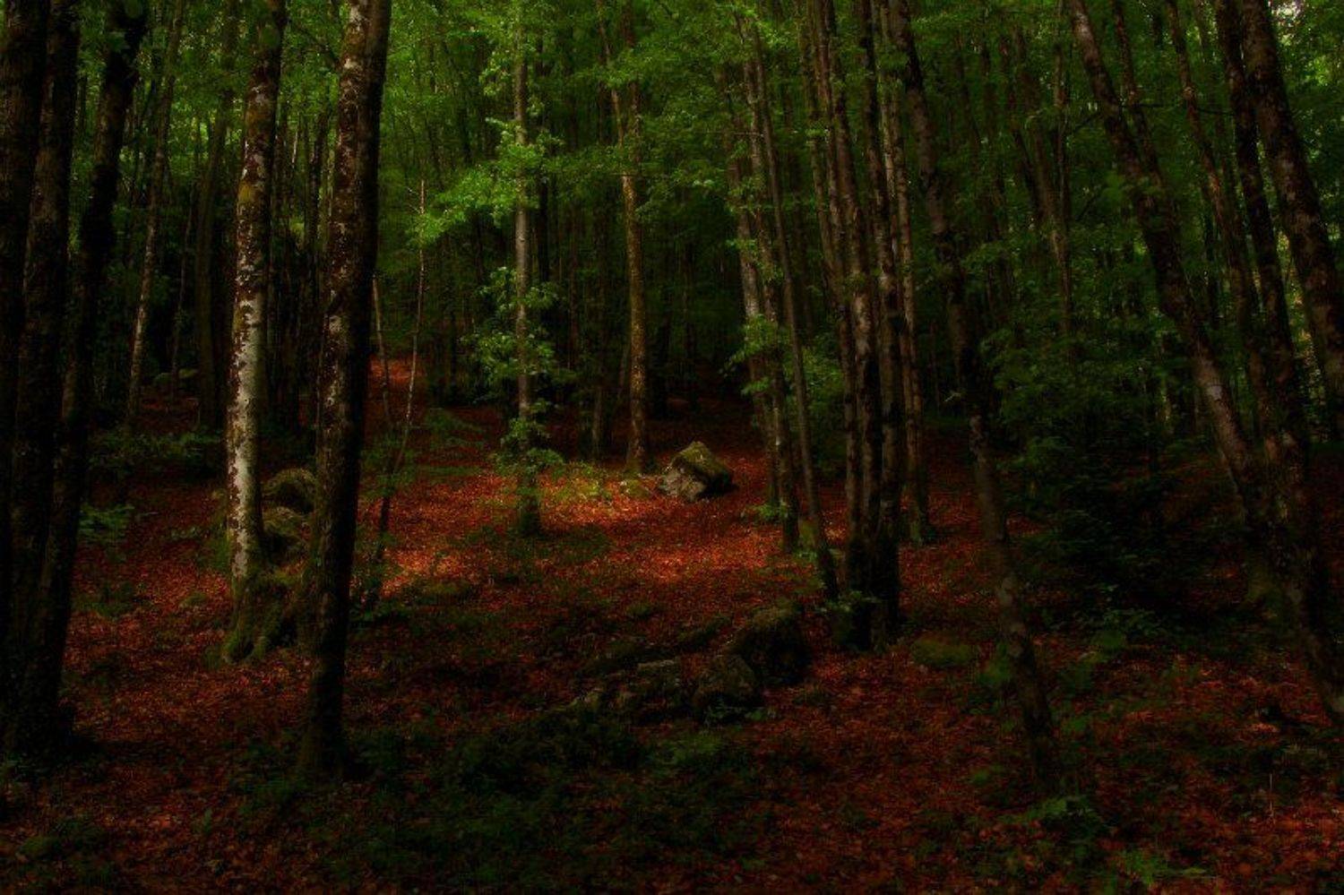 весна, Рита Гончаренко