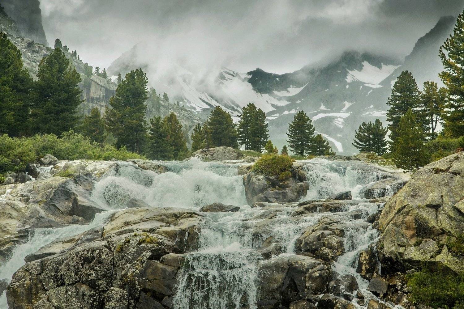 , Алексей Кретов