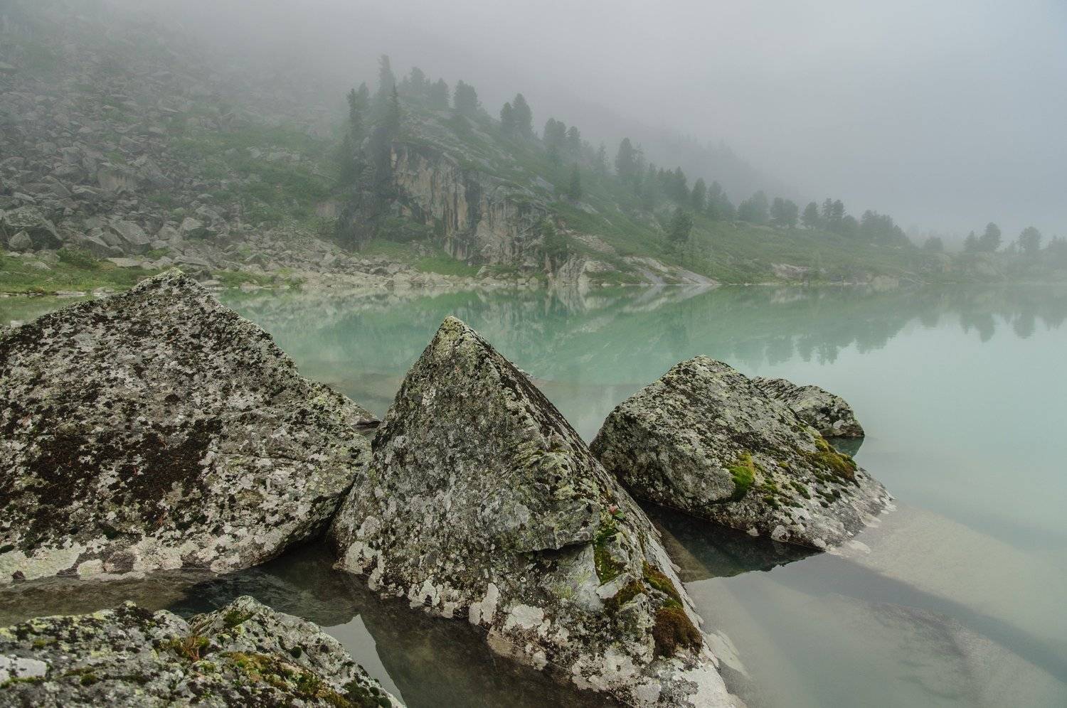 , Алексей Кретов