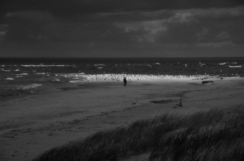 Страсти по Хичкоку (2) фото превью