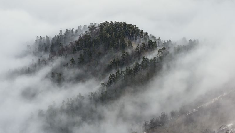 май, 2016, туман, хребет, передовой, вечер, вершина, асбестной Туман вокруг, ТУМАН ! А мы все ждем ждем, мешаем водку гвоздем... фото превью