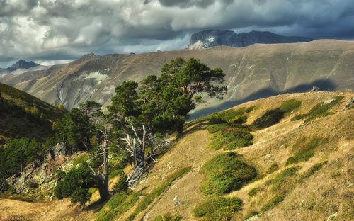 Говорящие с ветром...