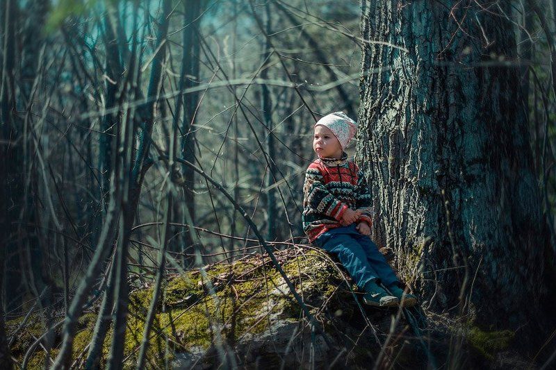В лесу фото превью