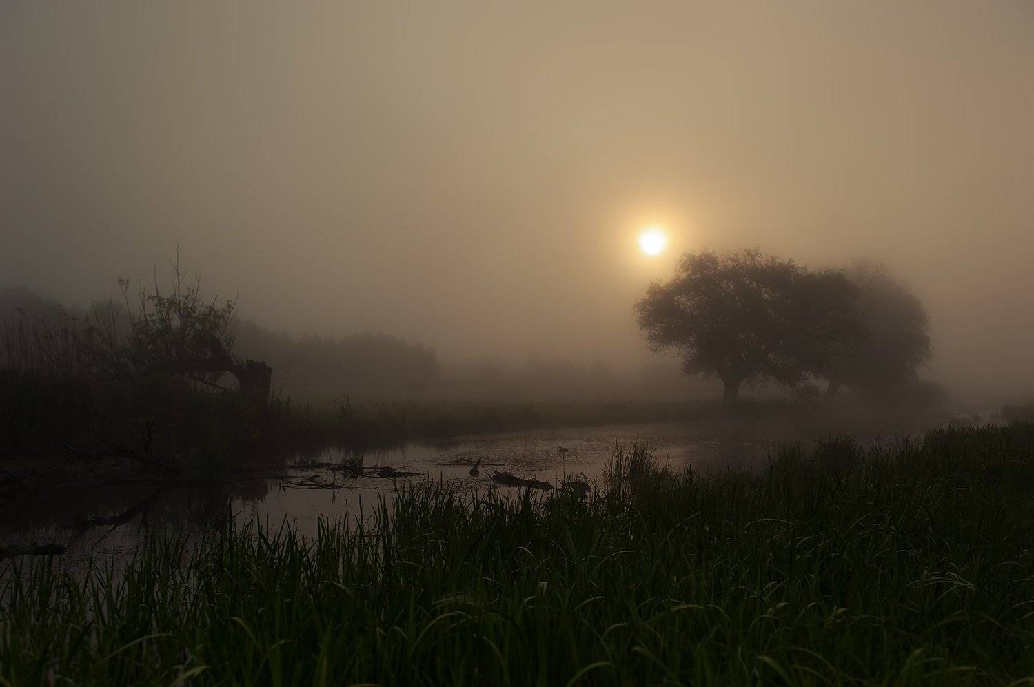 , Валерий Смирнов