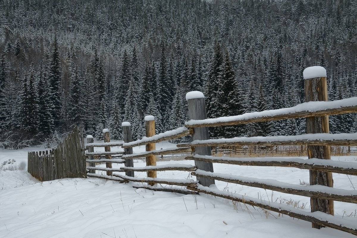 , Николай Морский