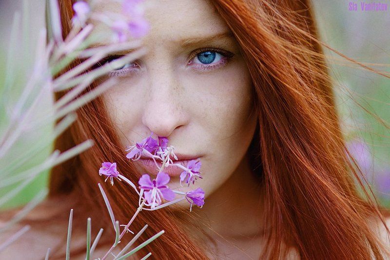 RED фото превью