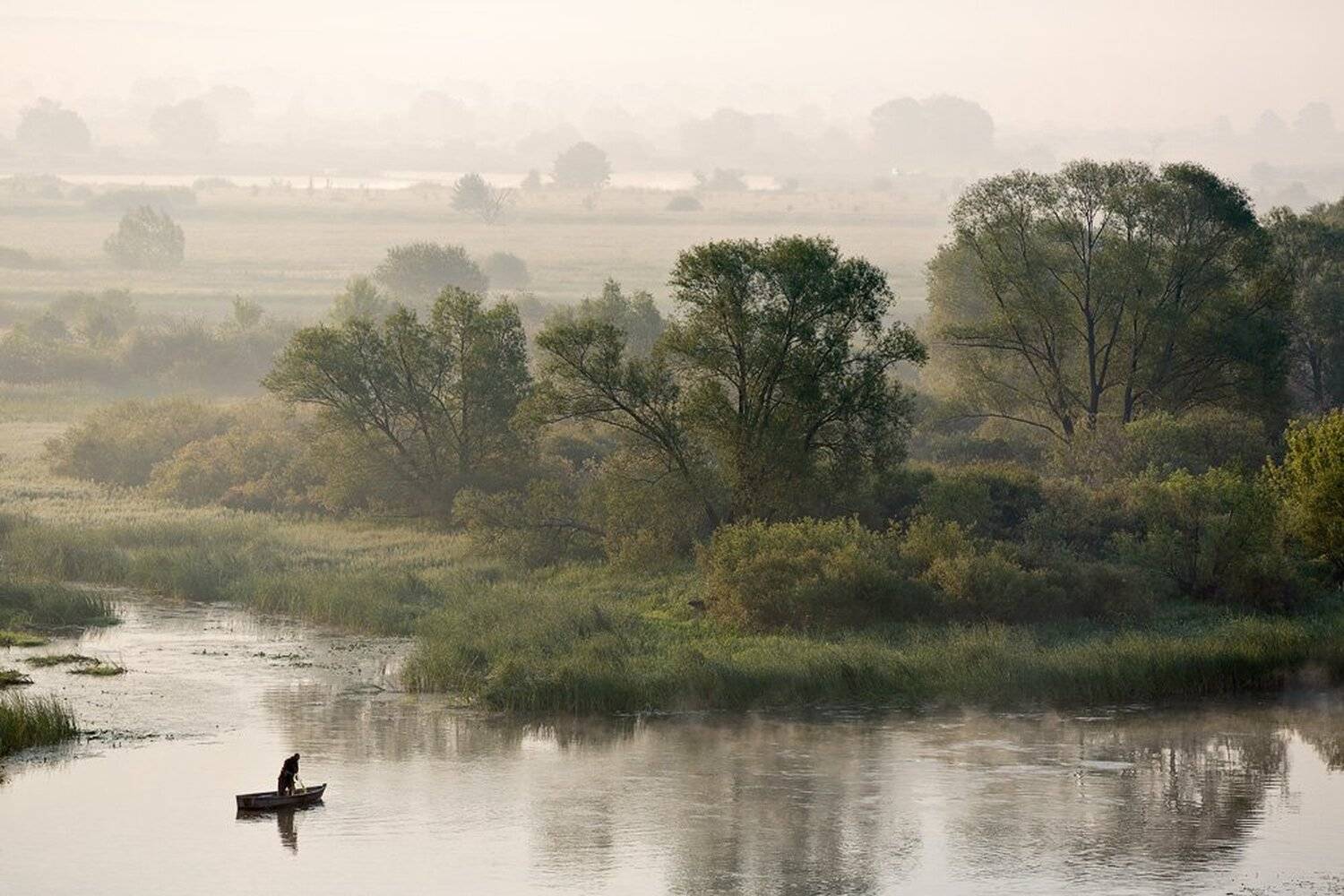 , Юрий Сорокин