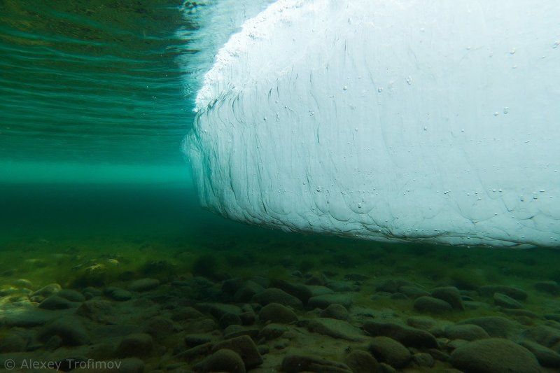Байкал. Весна под водой фото превью