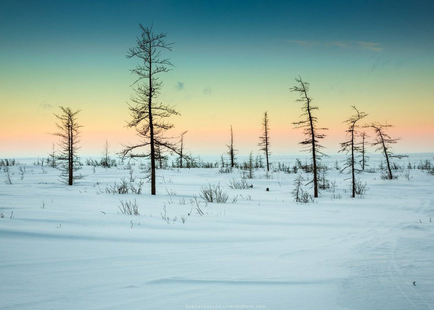 , Евгений Кузьмин